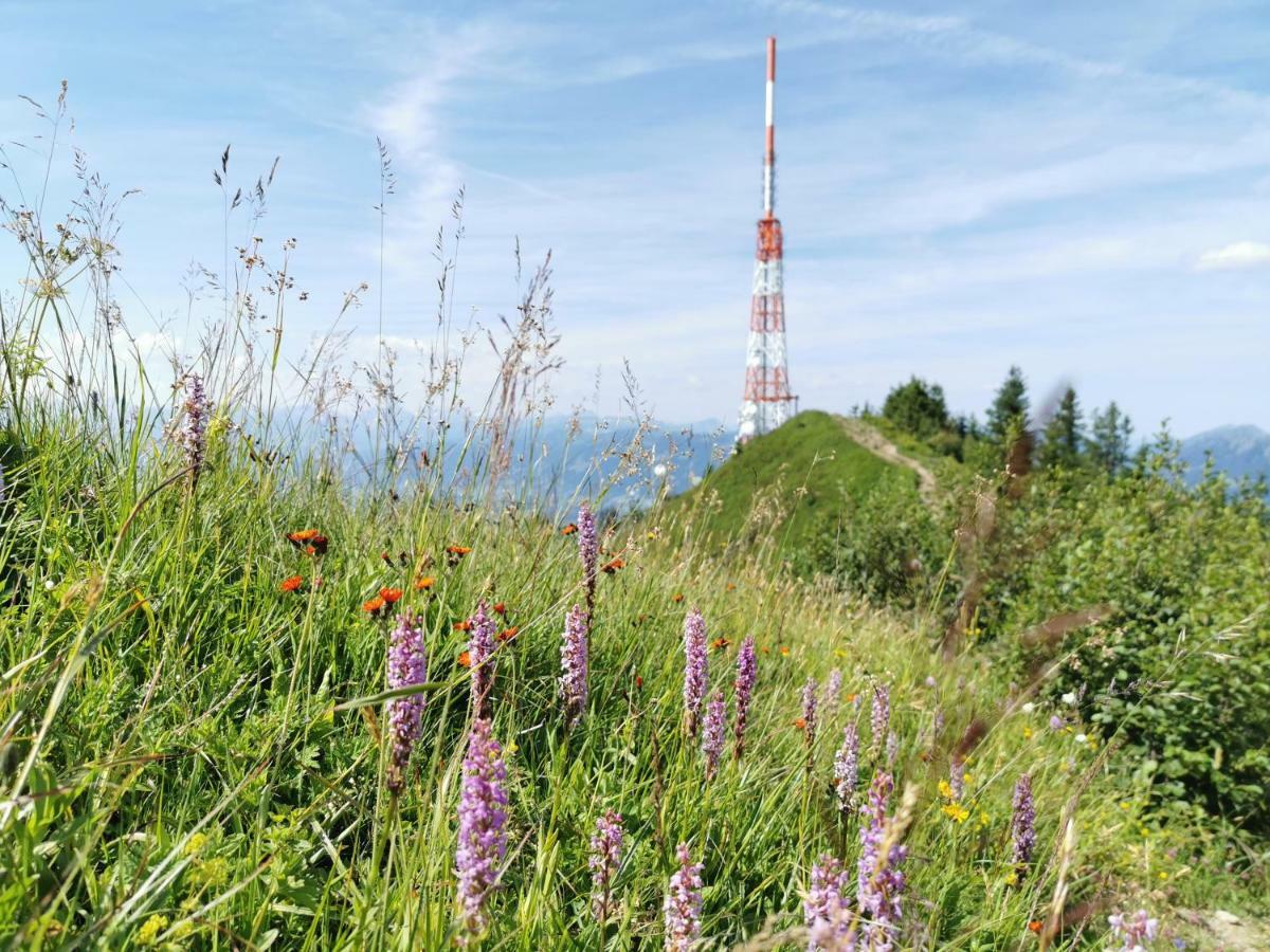 Ferienwohnung Am Eichwald Immenstadt im Allgäu Екстериор снимка