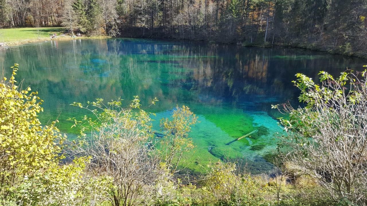 Ferienwohnung Am Eichwald Immenstadt im Allgäu Екстериор снимка